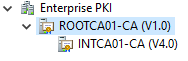 v Enterprise PKI 
v ROOTCAOI-CA 
INTCAOI CA 